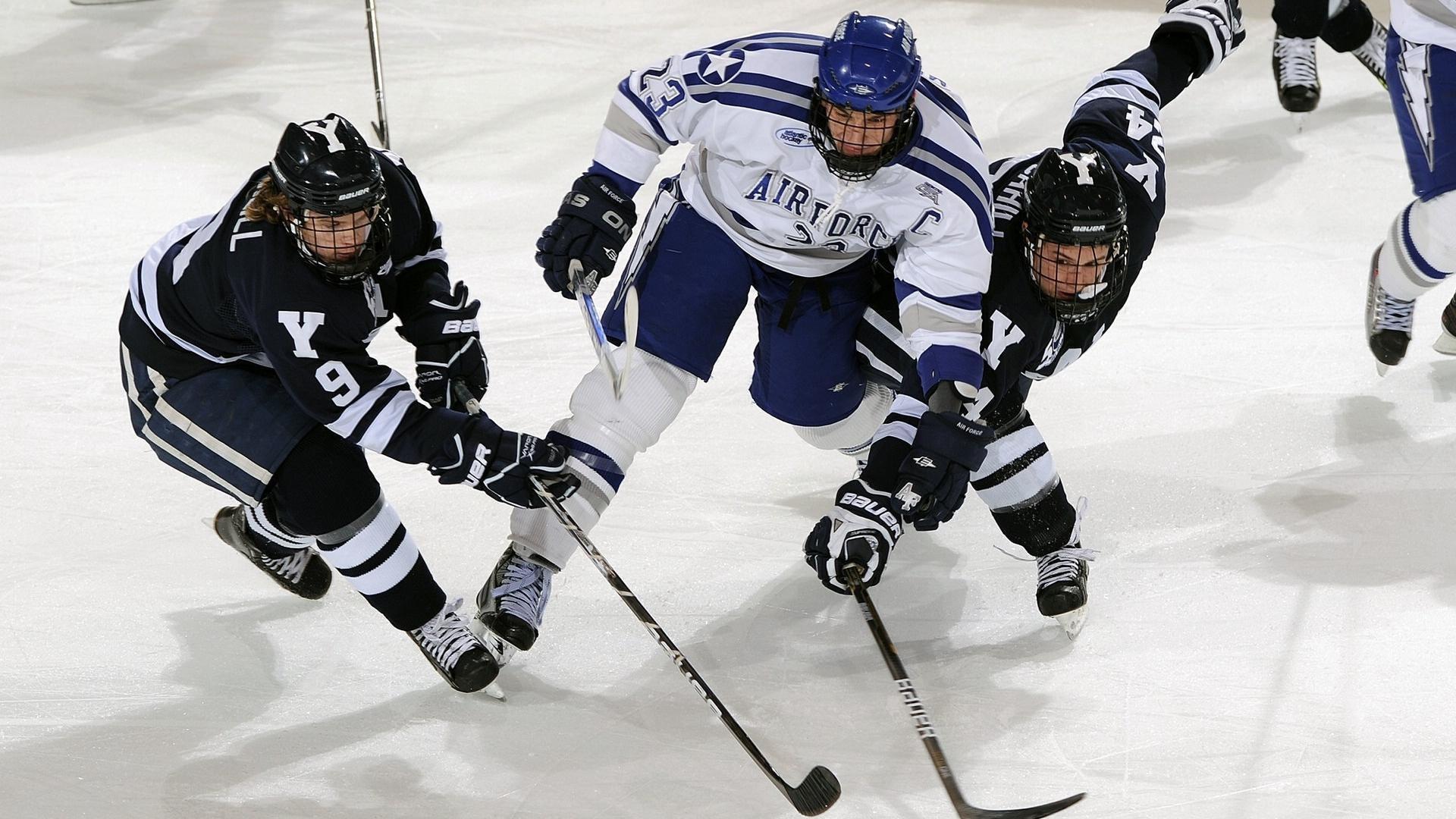 跳起助飞西卡！哈利，若我们有幸夺冠 那这个瞬间将会被铭记很久